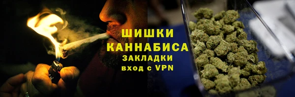 PSILOCYBIN Верея
