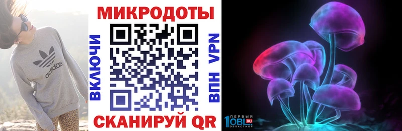мега ссылки  Алзамай  Галлюциногенные грибы Psilocybine cubensis 