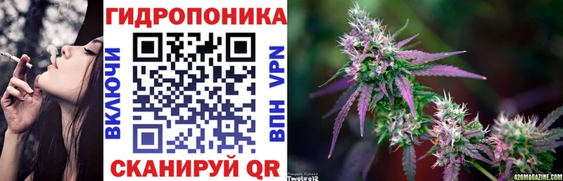 Конопля план Алзамай